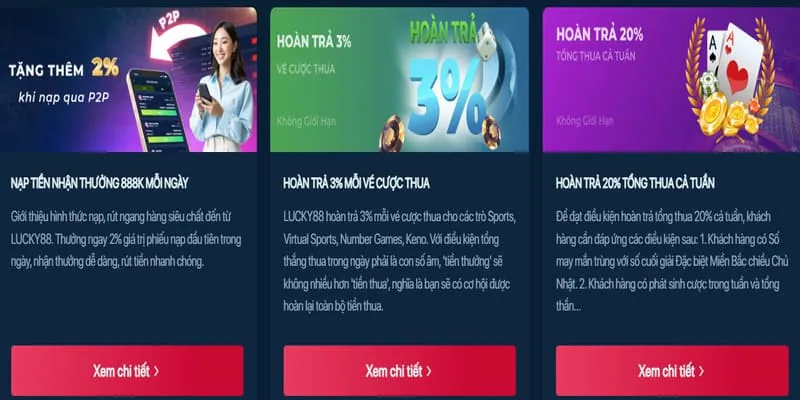 Chương trình hoàn trả cược hấp dẫn